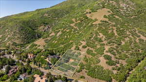 Photo 10 of 5924 S SPRING CANYON RD