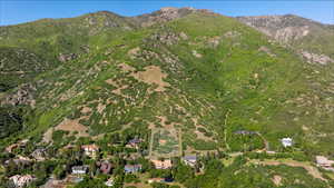 Photo 4 of 5924 S SPRING CANYON RD