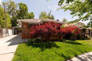 View of front of house with concrete driveway, brick siding, and an attached carport
