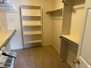 Walk in closet with carpet floors