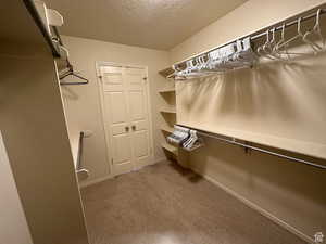 Spacious closet with carpet