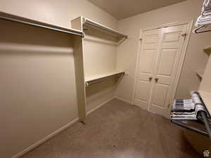 Walk in closet featuring carpet floors