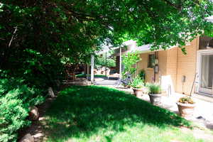 View of yard with a patio