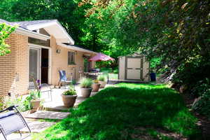 View of grassy yard with a patio
