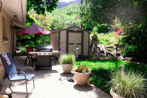 View of patio / terrace featuring a mountain view and area for grilling