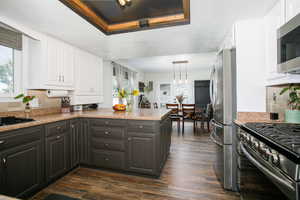 Kitchen with stainless steel appliances, white cabinets, a peninsula, tasteful backsplash, and dark wood-style flooring