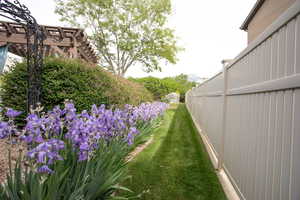 View of grassy yard
