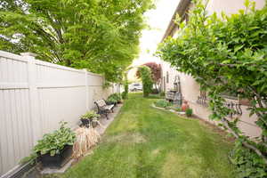 View of yard with a patio