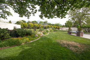 View of yard featuring a patio area