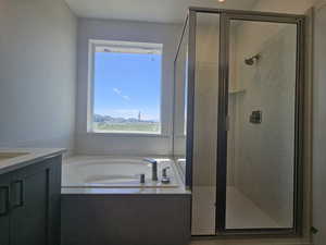 Full bathroom with a shower stall, a garden tub, and vanity