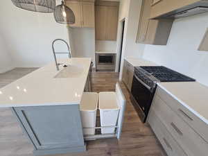 Kitchen featuring gas range, range hood, stainless steel microwave, a sink, and wood finished floors