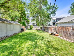 Backyard, storage, vegetable garden