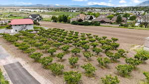 Aerial perspective of suburban area with mountains