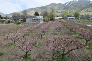 View of mountain background