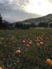 View of mountain backdrop