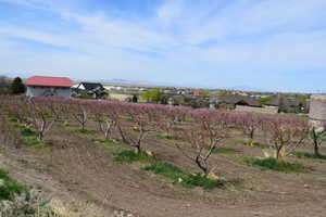View of yard featuring a mountain view