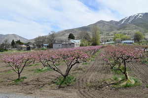 View of mountain backdrop with rural landscape and rows of crops