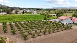 Aerial view of sparsely populated area with a mountainous background