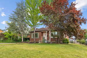 View of front of home with large yard, brick siding and a shingled roof