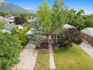 Front yard with mature trees