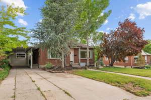 View of front of home featuring brick siding, concrete driveway, an attached carport, and a front yard
