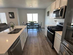 Kitchen featuring stainless steel appliances, a sink, plenty of natural light, dark wood-type flooring, and a textured ceiling
