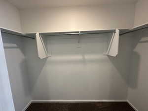 Walk in closet with carpet floors