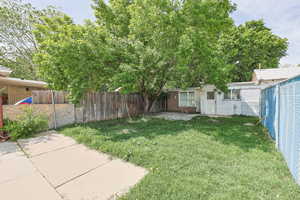 Patio & Grass Yard