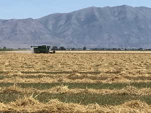 View of mountain background featuring rural landscape