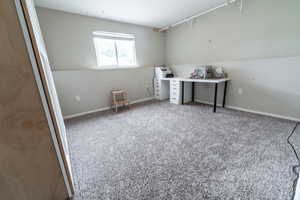 Basement bedroom