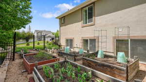 View of yard with a vegetable garden