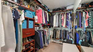 Spacious closet featuring carpet flooring