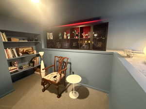 Living area with carpet flooring