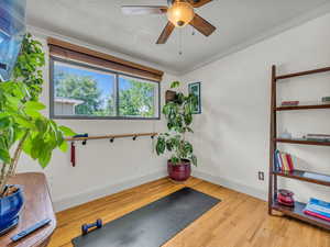 Bedroom/office/zen-room