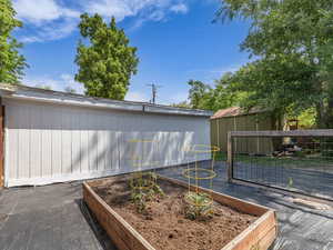 Planter box with freshly planted tomatoes