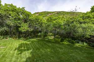 Photo 46 of 3021 E SHAKESPEARE PL
