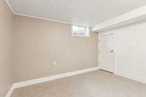 Basement featuring carpet floors
