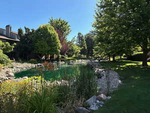 View of grassy yard