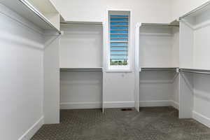 View of walk in closet