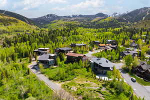 Drone / aerial view of a mountainous background and a forest