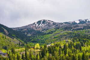Mountain view featuring a heavily wooded area