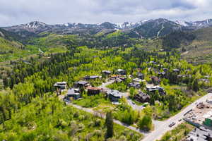 Aerial view of a mountain backdrop and a forest