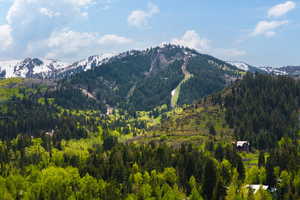 View of mountain backdrop featuring a forest