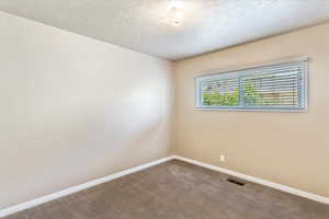 Unfurnished room with baseboards, carpet flooring, and a textured ceiling