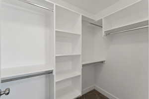 Walk in closet with dark carpet