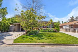 View of property hidden behind natural elements featuring concrete driveway and an attached carport