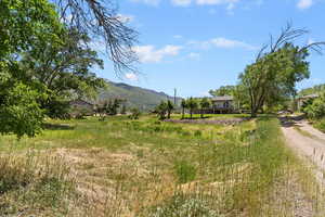 View of yard featuring a mountain view and a view of rural / pastoral area