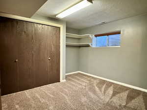Spacious closet with carpet