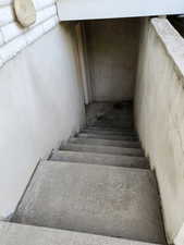 Stairs to walk-out basement entrance.