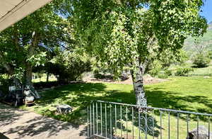 View of back yard